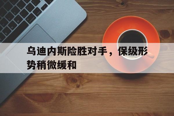 乌迪内斯险胜对手，保级形势稍微缓和的简单介绍